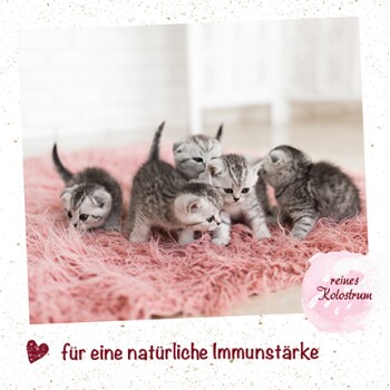 feliTATZ ImmunKraft