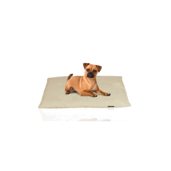 Ein kleiner brauner Hund liegt auf einem weichen, beigen Haustierbett und zeigt Komfort und Entspannung.
