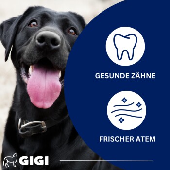 Dalmatiner neben GIGI Dental Care Pulverbehälter mit Text über 9,6 % bessere Zahnsteinreduktion als Standardprodukte.