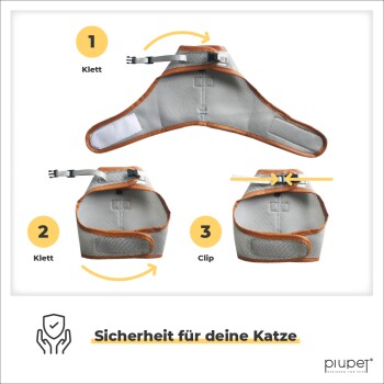 Bild zeigt eine Schritt-für-Schritt-Anleitung zum Anpassen eines Katzengeschirrs, mit nummerierten Anweisungen und dem Text 'Sicherheit für deine Katze' am unteren Rand.