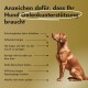 Ein Golden Retriever vor einem goldenen Hintergrund, mit Text auf Schildern, dass ein Hund Gelenkunterstützung benötigt, wie Schwierigkeiten beim Aufstehen und geringe Energie.