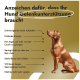 Ein Golden Retriever vor einem goldenen Hintergrund, mit Text auf Schildern, dass ein Hund Gelenkunterstützung benötigt, wie Schwierigkeiten beim Aufstehen und geringe Energie.