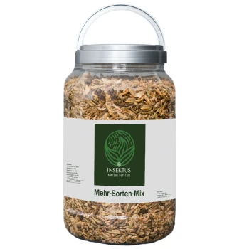 Ein klares Glasgefäß gefüllt mit einer Mischung aus insektengestütztem Haustierfutter, beschriftet mit "INSEKTUS NATUR-FUTTER Mehr-Sorten-Mix" mit einem grünen Logo.