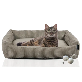 Eine flauschige getigerte Katze, die in einem gemütlichen, beigen Haustierbett mit strukturiertem Rand liegt, begleitet von zwei kleinen Wollknäueln.