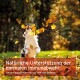 Hund springt, um Herbstblätter zu fangen; Overlay-Text (Deutsch und Englisch) über natürliche Unterstützung der normalen Immunabwehr.