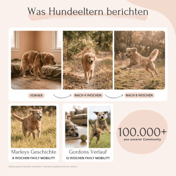 Eine Frau hält einen Beagle inmitten von grünem Laub, mit Text: "Besonders gut verträglich", "Sehr hohe Akzeptanz" und "Tausende glückliche Hundeltern."