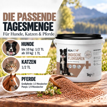 Eine Meeresschildkröte schwimmt unter Wasser, teilweise in Plastik verfangen, mit dem Text: "1 KG FÜR 2 KG PLASTIK AUS DEM MEER" und "PLASTIC FREE PLANET."