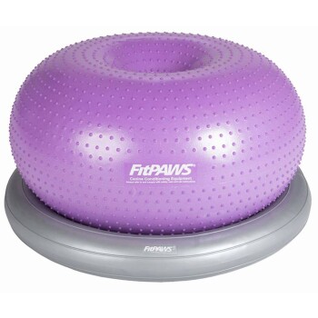 Lila FitPAWS-Hundebalanceball auf einer grauen Basis, entworfen für Fitness und Stabilitätstraining für Haustiere.