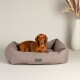 Ein brauner Hund, der auf einem gemütlichen, grauen Scruffs-Hundebett vor einem neutralen Hintergrund entspannt, mit einer dekorativen Vase in der Ecke.