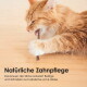 Eine flauschige orange Katze mit auffälligen grünen Augen liegt auf einem Holzboden neben einem kleinen Stock.