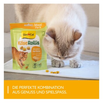 Cremefarbene Katze, die an gelben Käse-Leckerlis schnuppert, neben einer grünen GimCat KäseRollis Maxi-Packung; darunter ein orangefarbener Banner mit deutschem Slogan