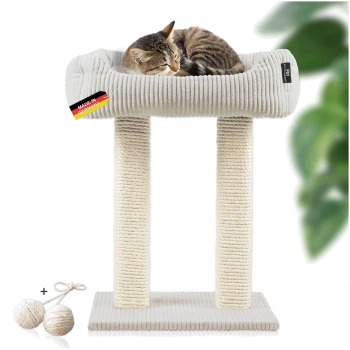Ein gemütlicher Katzenbaum mit einem weichen, erhöhten Bett und zwei stabilen, mit Seil umwickelten Pfosten, mit einer schlafenden getigerten Katze und zwei enthaltenen Spielbällen.