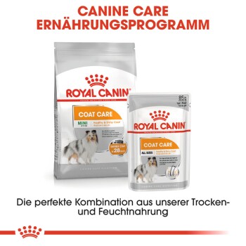 Royal Canin Coat Care Verpackung mit "MINI" Trockenfutter und "ALL SIZES" Nassfutterbeutel, der glänzende Felle in 28 Tagen fördert.