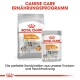 Royal Canin Coat Care Verpackung mit "MINI" Trockenfutter und "ALL SIZES" Nassfutterbeutel, der glänzende Felle in 28 Tagen fördert.
