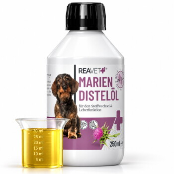 Flasche REAVET Marien Distelöl (250ml) für den Stoffwechsel und die Leberfunktion, mit einem Dackel und einem Messbecher mit Öl.