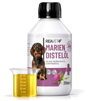 Flasche REAVET Marien Distelöl (250ml) für den Stoffwechsel und die Leberfunktion, mit einem Dackel und einem Messbecher mit Öl.