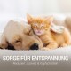 Ein Golden Retriever und ein orangefarbener Tabby-Kätzchen schlafen zusammen, mit dem Text "Sorge für Entspannung" und "Reduziert Juckreiz & Kopfschütteln" darunter.