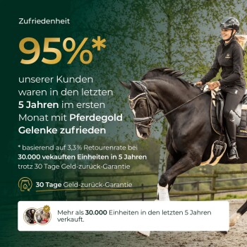 Schwarzes Pferd mit Reiter rechts; linke grüne Tafel mit goldener '95%' und Text '30 Tage Geld-zurück-Garantie'.