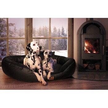 Zwei Dalmatiner entspannen sich in einem gemütlichen schwarzen Tierbett vor einem warmen Kamin, mit einer verschneiten Landschaft, die durch das Fenster sichtbar ist.