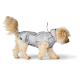 Ein flauschiger beiger Hund, der einen glänzenden silbernen Regenmantel trägt, geht nach rechts und zeigt seine stilvolle Oberbekleidung.