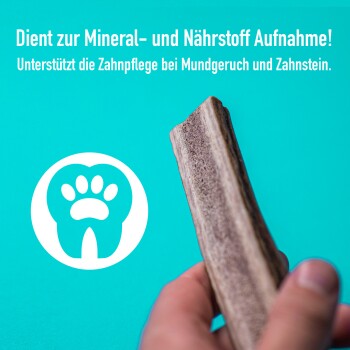 Zahnpflege-Kauartikel für Haustiere, die die Mineral- und Nährstoffaufnahme fördern und die Zahnpflege gegen schlechten Atem und Zahnstein unterstützen.