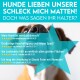 Nahaufnahme der Schnauze eines Hundes mit Text, der das Produkt "Schleck mich Matten!" lobt, mit Kundenbewertungen und Sternebewertungen.