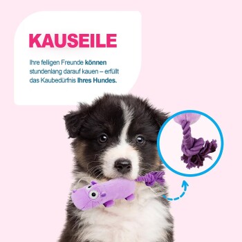 Schwarz-weißer Welpe hält ein violettes Plüsch-Flusspferd-Seilspielzeug; Text 'KAUSEILE' und deutscher Text über das Kauen von Hunden.