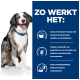 Een blije Australian Shepherd zit tegen een blauwe achtergrond met tekst over de verteerbaarheid van een huisdiervoedingsformule, prebiotica en antioxidanten.