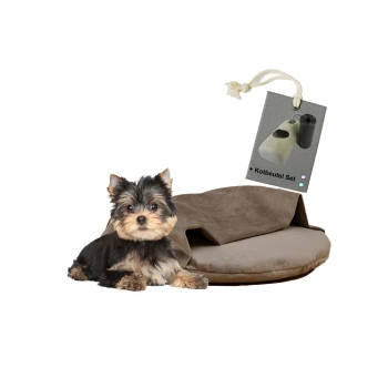 Ein kleiner Yorkshire Terrier sitzt neben einem runden, braunen Hundebett, mit einem Etikett, das ein Set von Hundekotbeuteln zeigt.