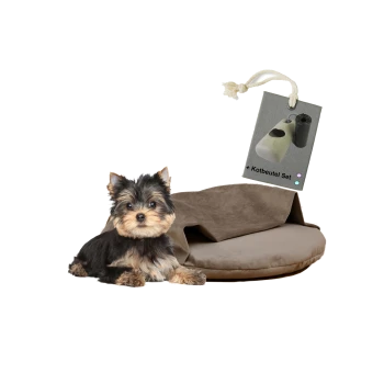 Ein kleiner Yorkshire Terrier sitzt neben einem runden, braunen Hundebett, mit einem Etikett, das ein Set von Hundekotbeuteln zeigt.