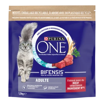 Sac de nourriture pour chat Purina ONE Bifensis Adulte 1,5 kg avec chat tigré gris, morceaux de bœuf et blé, étiquette française 'Élaboré avec du bœuf'.