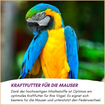 Optimax Aufzucht- und Konditionsfutter, 5 kg, Premium-Vogelfutter für alle Haustier-Vogelarten, mit aufgeführten Nährstoffen und Zutaten.