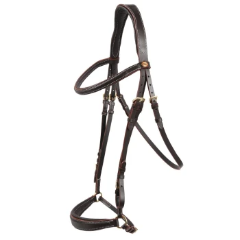 Braunes Lederhundegeschirr mit verstellbaren Riemen und goldenen Schnallen, auf einem weißen Hintergrund präsentiert.