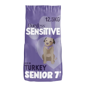 Lila Sack Burgess Sensitive Hundefutter, 12,5 kg, reich an Truthahn, Senior 7+, mit einer illustrierten Abbildung eines kleinen braunen Hundes.