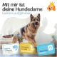 Bester Komfort für deine Hündin: extrem saugstark, 5 Größen, 3 Einstellmöglichkeiten, weiches Innenfutter.