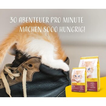 Eine überraschte graue Katze sitzt neben einer Notiz, die die Zutaten für Katzenfutter auflistet, mit dem Titel "ZUSAMMENSETZUNG" und dem Josera-Logo in der Ecke.