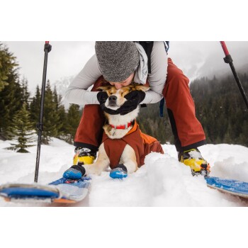 Eine Person in Winterkleidung kniet im Schnee und hält sanft einen Hund mit einem orangefarbenen Mantel und rotem Halsband, umgeben von Kiefern und Bergen.