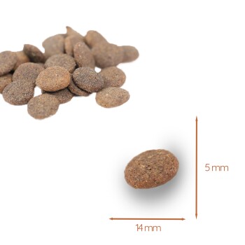 Braune Haustierfutter-Kibble-Stücke, etwa 14 mm im Durchmesser und 5 mm dick, auf einem weißen Hintergrund verstreut.