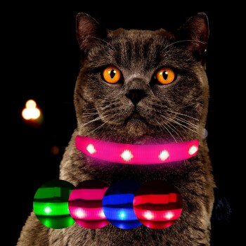Nahaufnahme einer grauen Katze mit auffälligen orangen Augen, die ein leuchtend pinkes LED-Halsband trägt, umgeben von bunten Halsbandoptionen in Grün, Rot und Blau.