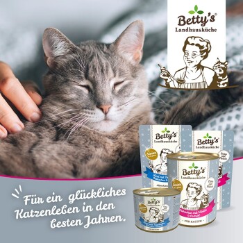 Graue Katze ruht sich aus, während eine Hand sie streichelt, umgeben von Betty's Landhausküche Katzenfutter. Text: "Für ein glückliches Katzenleben."