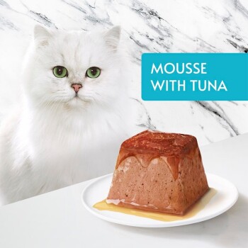 A fluffy white cat with green eyes sits beside a plate of tuna mousse, topped with a glossy sauce, with the text "MOUSSE WITH TUNA" in a blue box.