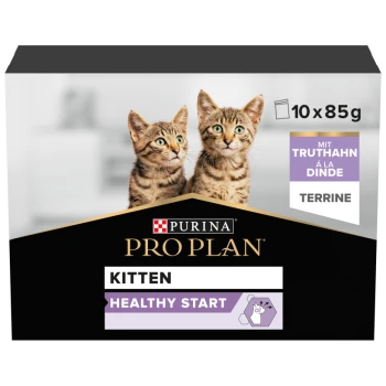 Purina Pro Plan Kitten Healthy Start Pack mit zwei verspielten getigerten Kätzchen und Etiketten "10 x 85g" und "Terrine mit Truthahn."
