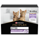 Pack Purina Pro Plan Kitten Healthy Start avec deux chatons tigrés joueurs et des étiquettes "10 x 85g" et "Terrine mit Truthahn."