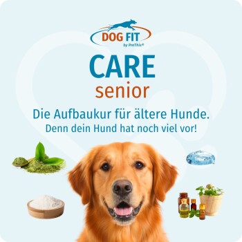 DOG FIT CARE Senior-Verpackung mit Text 'Die Aufbaukur für ältere Hunde', Hundefoto und Bildern von Kräutern, Pulver und Ölen