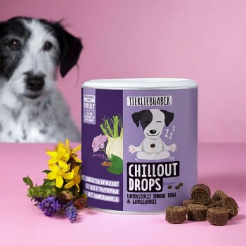 Behälter mit "Chillout Drops" für Haustiere, 350g, mit braunen Leckerlis neben bunten Blumen auf einem rosa Hintergrund.