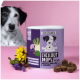 Behälter mit "Chillout Drops" für Haustiere, 350g, mit braunen Leckerlis neben bunten Blumen auf einem rosa Hintergrund.
