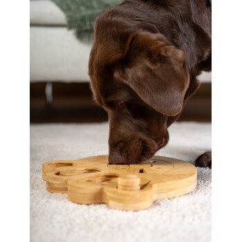 Holz-Hundepuzzle-Spielzeug in einer Box, beschriftet mit "Intelli macht deinen Hund schlau", mit Pfotenabdrücken und verschiedenen Öffnungen für Leckerlis.