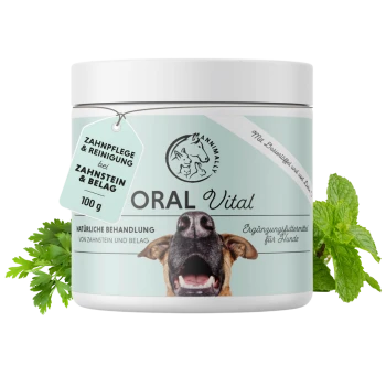 Behälter mit "ORAL Vital" Hundezahnpflegepräparat, mit dem Gesicht eines Hundes auf dem Etikett, mit Minzblättern daneben.