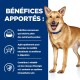 Un chien heureux à côté d'un texte sur les bienfaits de la nutrition animale : restaure les nutriments, aide à la digestion, booste l'énergie et soutient l'immunité.
