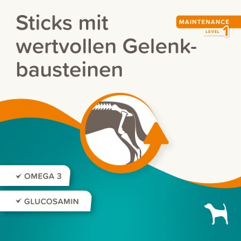 Sticks mit wertvollen Gelenkbausteinen, mit einer Abbildung eines Hundegelenks, mit Text, der Omega 3 und Glucosamin hervorhebt.